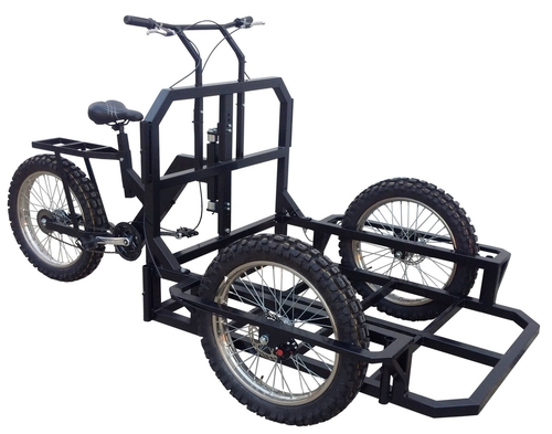 cargo bike system